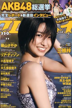 藤原辽子